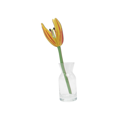 Studio Roof Everlasting Flower (S) - Sunset Tulip