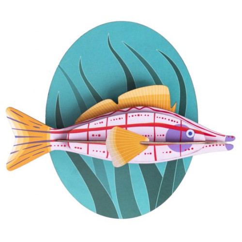 Studio Roof Sea Creature (L) - Longnose Hawkfish Mounted