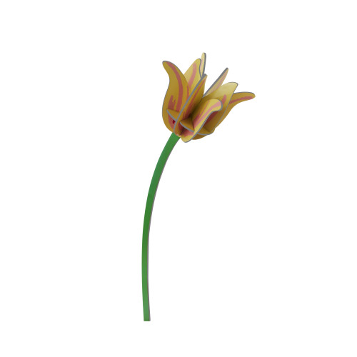 Studio Roof Everlasting Flower (L) - Yellow Tulip