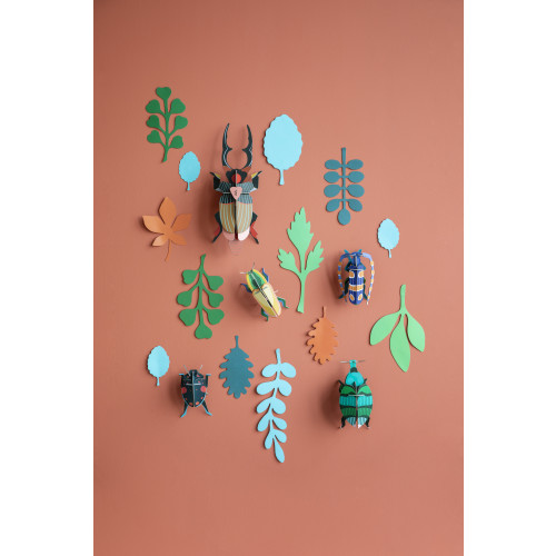 X) Studio Roof Wall of Curiosities Boxed Set - Beetle Antiquary