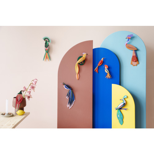 X) Studio Roof Paradise Bird - Savu
