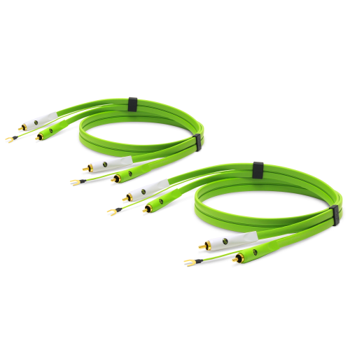 Neo d+ Class B RCA Turntable Duo (X2) 1M