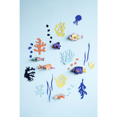 Studio Roof Wall of Curiosities Boxed Set - Fish Hobbyist