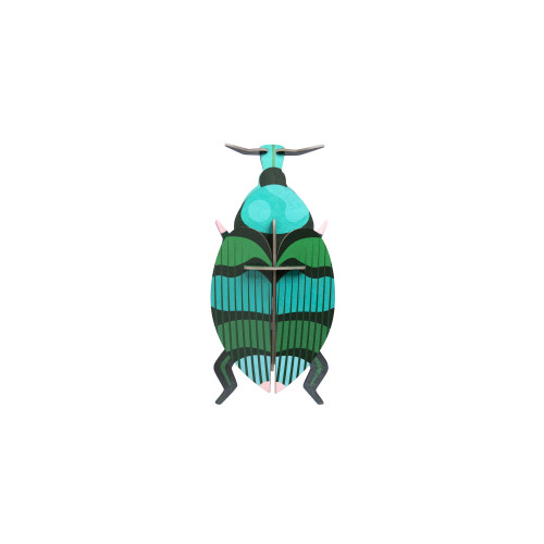Studio Roof Insect (S) - Weevil Beetle