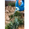 Quut Outdoor Toy Watering Can Cana (L) (Ocean)
