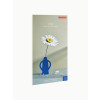 Studio Roof Everlasting Flower (L) - Daisy