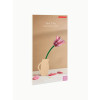 Studio Roof Everlasting Flower (L) - Pink Tulip