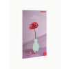 Studio Roof Everlasting Flower (L) - Rose