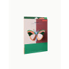 X) Studio Roof Insect (M) - Sycamore Butterfly