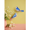 Studio Roof Garden Birds - Blue Tits