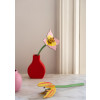 Studio Roof Everlasting Flower (S) - Blushing Tulip