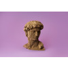 Cartonic 3D Sculpture Puzzle David