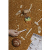 Petit Boum Sensory Toy Bottle Spy (Jurassic)