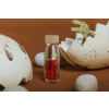 Petit Boum Sensory Toy Bottle Spy (Jurassic)