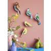 Studio Roof Garden Birds - Citrinella Pair