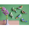 Studio Roof Garden Birds - Forest Crests