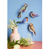 Studio Roof Garden Birds - Tawny Owl
