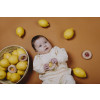 Petit Boum Sensory Play Donut (Lemons)