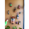 X) Studio Roof Insect (L) - Antler Beetle