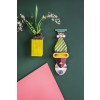 X) Studio Roof Mask (S) - Capetown