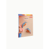 Studio Roof Garden Birds - Kingfishers