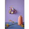 X) Studio Roof Sea Creature (S) - Marine Angelfish