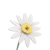 Studio Roof Everlasting Flower (S) - Meadow Daisy