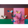 X) Studio Roof Insect (M) - Lily Butterfly