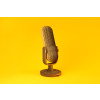 Cartonic 3D Sculpture Puzzle Microphone