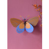 X) Studio Roof Insect (L) - Ochre Costa Butterfly