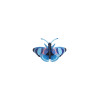 X)Studio Roof Insects - Peacock Butterflies set of 3