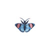 X)Studio Roof Insects - Peacock Butterflies set of 3