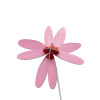 Studio Roof Everlasting Flower (S) - Pink Coneflower