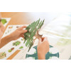 Poppik Discovery Sticker Poster - Tree