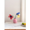 Studio Roof Everlasting Flower (S) - Red Anemone