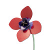 Studio Roof Everlasting Flower (S) - Red Anemone