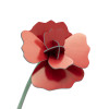 Studio Roof Everlasting Flower (S) - Red Rose