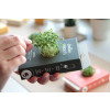 Scrollino Activity Set - Sprouts Cress