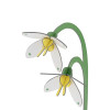Studio Roof Everlasting Flower (S) - Spring Bells