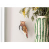 Studio Roof Garden Birds - Tawny Owl