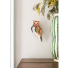 Studio Roof Garden Birds - Tawny Owl
