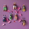X) Studio Roof Insect (L) - Titan Beetle