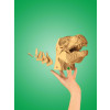 Cartonic 3D Sculpture Puzzle T-Rex