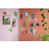 X) Studio Roof Wall of Curiosities Boxed Set - Beetle Antiquary