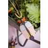 X) Studio Roof Insect (L) - Rhinoceros Beetle