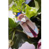 X) Studio Roof Insect (L) - Tiger Beetle