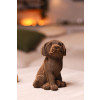Cartonic 3D Sculpture Puzzle Puppies Trio