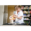 Shusha Wooden Game - Seasons