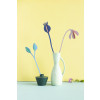 X) Studio Roof Bouquet (S) - Summer Jazz
