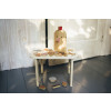 Shusha Wooden Game - Zoo
